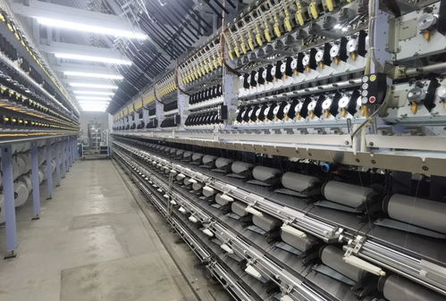 汕頭,攢了個(gè) 大招